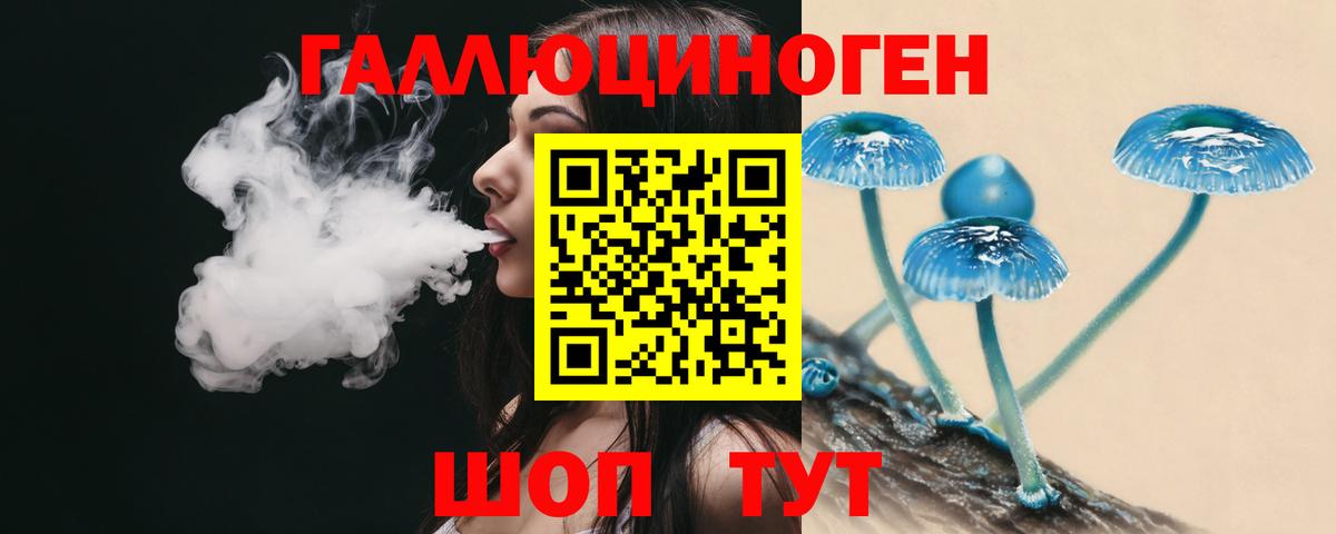 Псилоцибиновые грибы мицелий  Вход с VPN  Дятьково  Псилоцибиновые грибы прущие грибы 