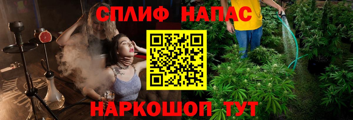 Бошки Шишки гибрид Дятьково